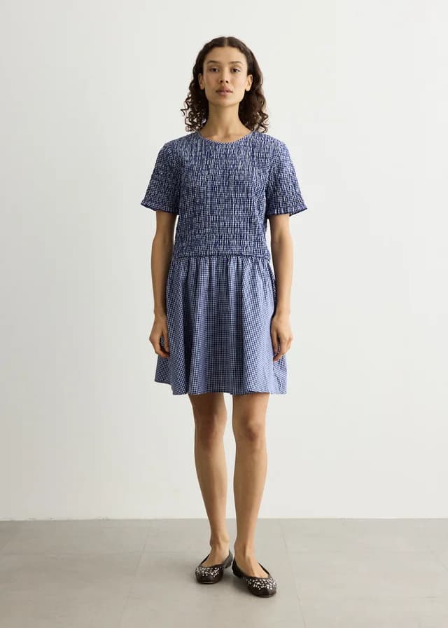 Baum und Pferdgarten Assandra Dress in Mini Blue Check, image 1 of 1 from Incu