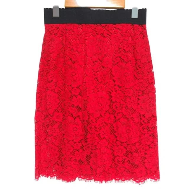 Dolce & Gabbana Knee Length Flower Lace Skirt 40 Red Black in Black from The Reluxe, photo 1 of 1