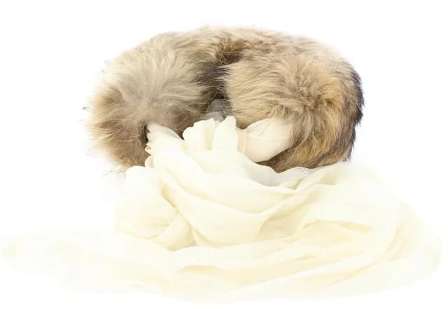Hermès Raccoon Fur Tie Tippet Scarf Wrap in Canvas from Bagriculture, photo 1 of 1