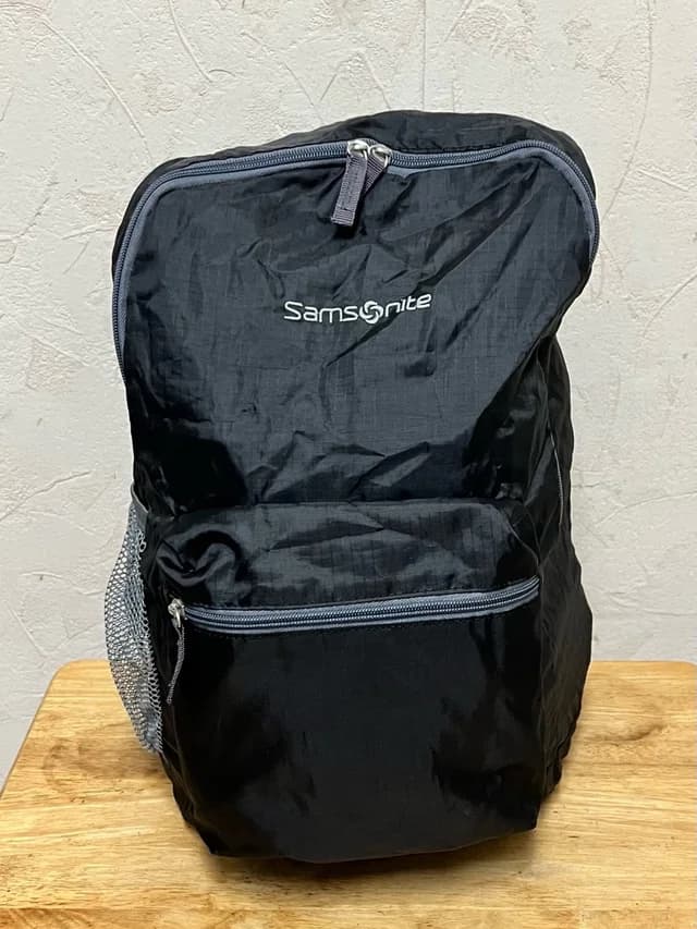 Samsonite Packable Foldaway Backpack in black from Poshmark, photo 1 of 1