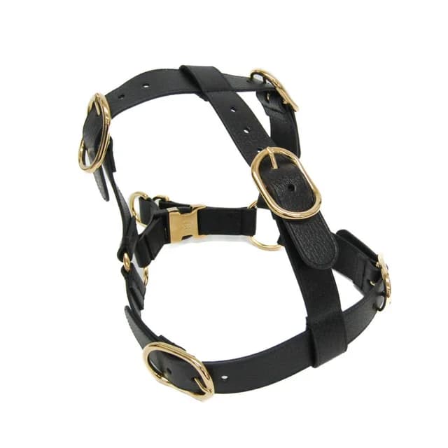 Gucci Interlocking G Pet Harness Large Size 695253 Dog Harness Leather Black in Black Leather from Elady, photo 1 of 1