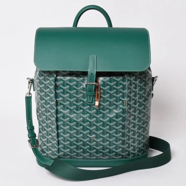 Goyard Alpine MM Backpack Canvas Green Silver in Green Canvas from The Reluxe, photo 1 of 1