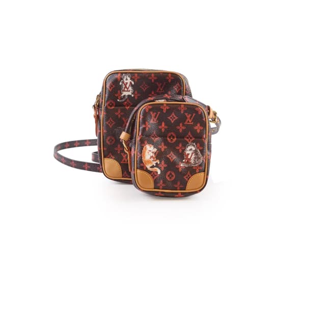 Louis Vuitton Catogram Double Paname Pochette in Canvas from The Purse Affair, photo 1 of 1