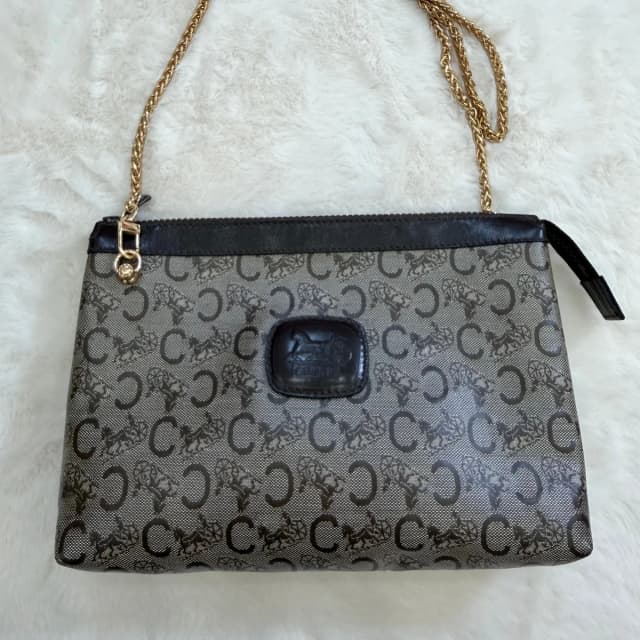 Celine Crossbody Bag with conversion kit in Coated canvas from SparklesnDreams, photo 1 of 1