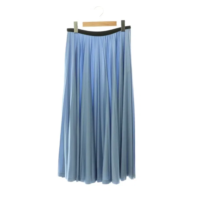 Celine Phoebe Philo Era Triacetate Pleated Skirt Long 36 Blue in Blue from The Reluxe, photo 1 of 1