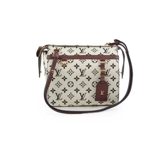Louis Vuitton Amazon Speedy PM Monogram in Canvas from The Purse Affair, photo 1 of 1
