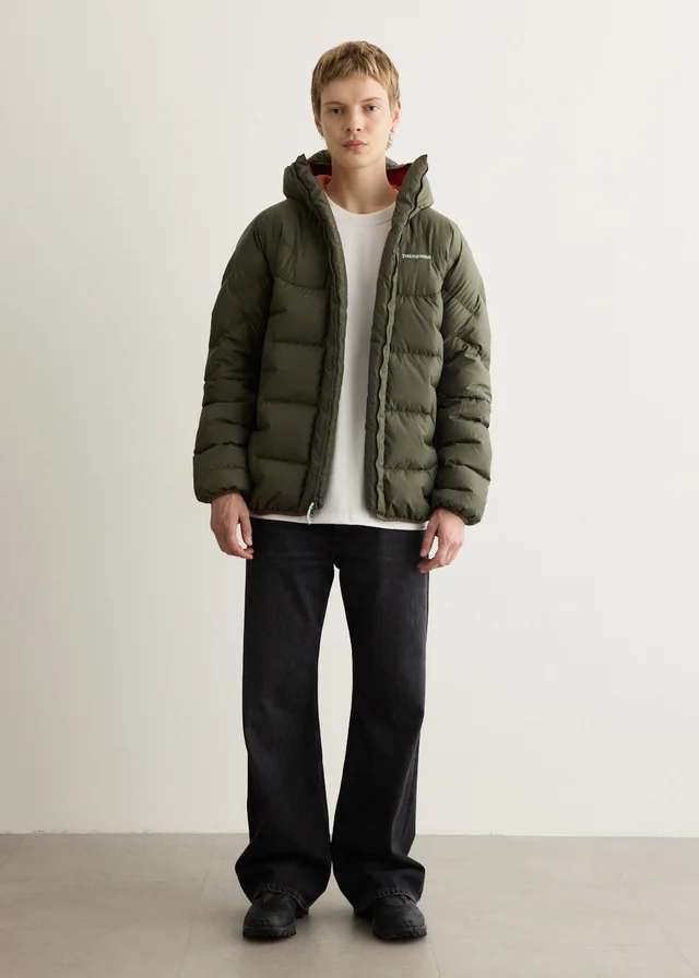 Patagonia Durable Down Parka Jacket in Basin Green, image 1 of 1 from Incu