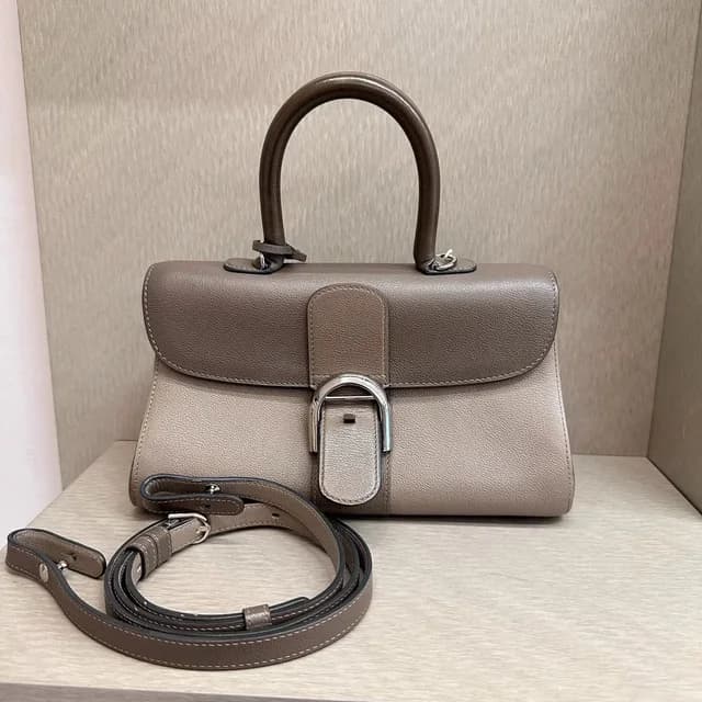 Delvaux Brillant Colorblocked Elephant Gray Bag in multicolor from Grailed, photo 1 of 1