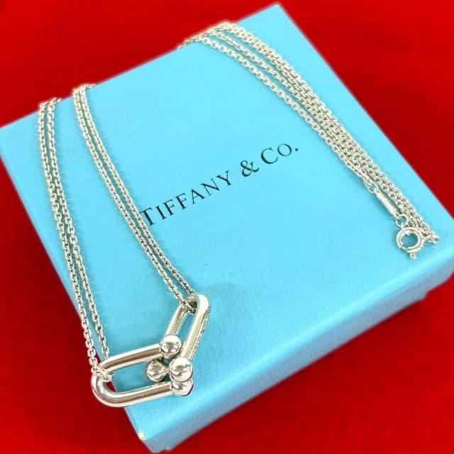 Tiffany & Co. HardWear Double Link Necklace 925 Sterling Silver in Silver from The Reluxe, photo 1 of 1