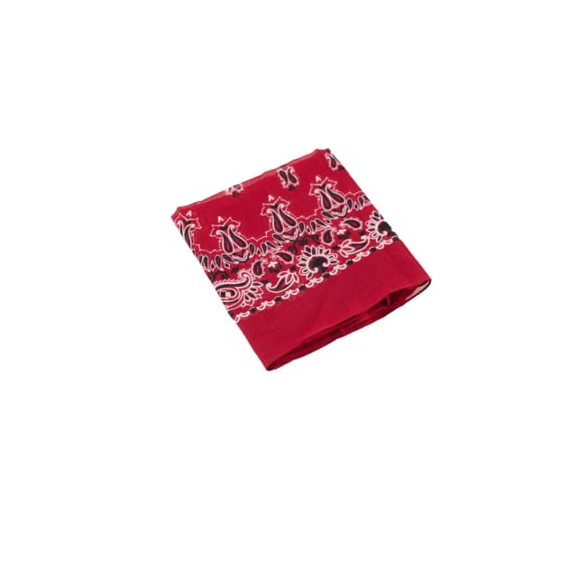 Saint Laurent 65 x 65 Bandana Scarf Red in Red from The Purse Affair, photo 1 of 1