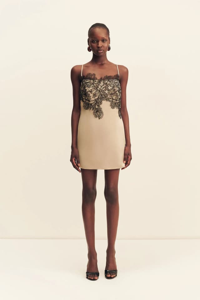 Shona Joy LUCIA LACE MINI DRESS - CHAMPAGNE/BLACK, image 1 of 1 from Shona Joy