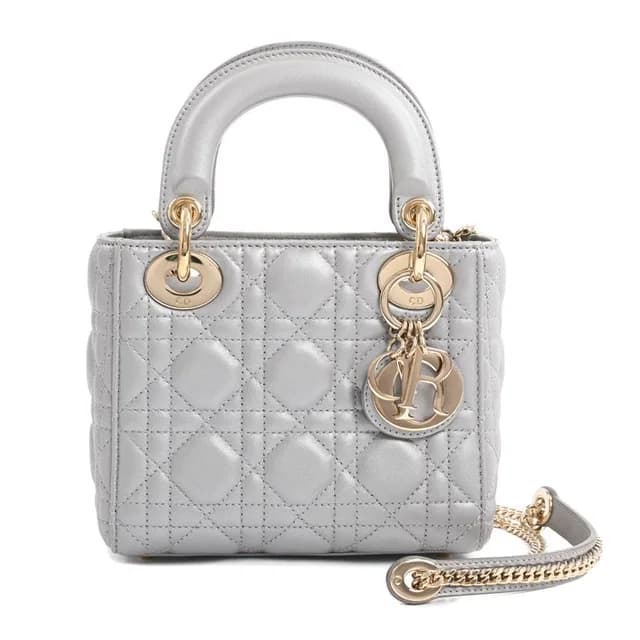 Dior Handbag Gray in Grey Lambskin from The Reluxe, photo 1 of 1