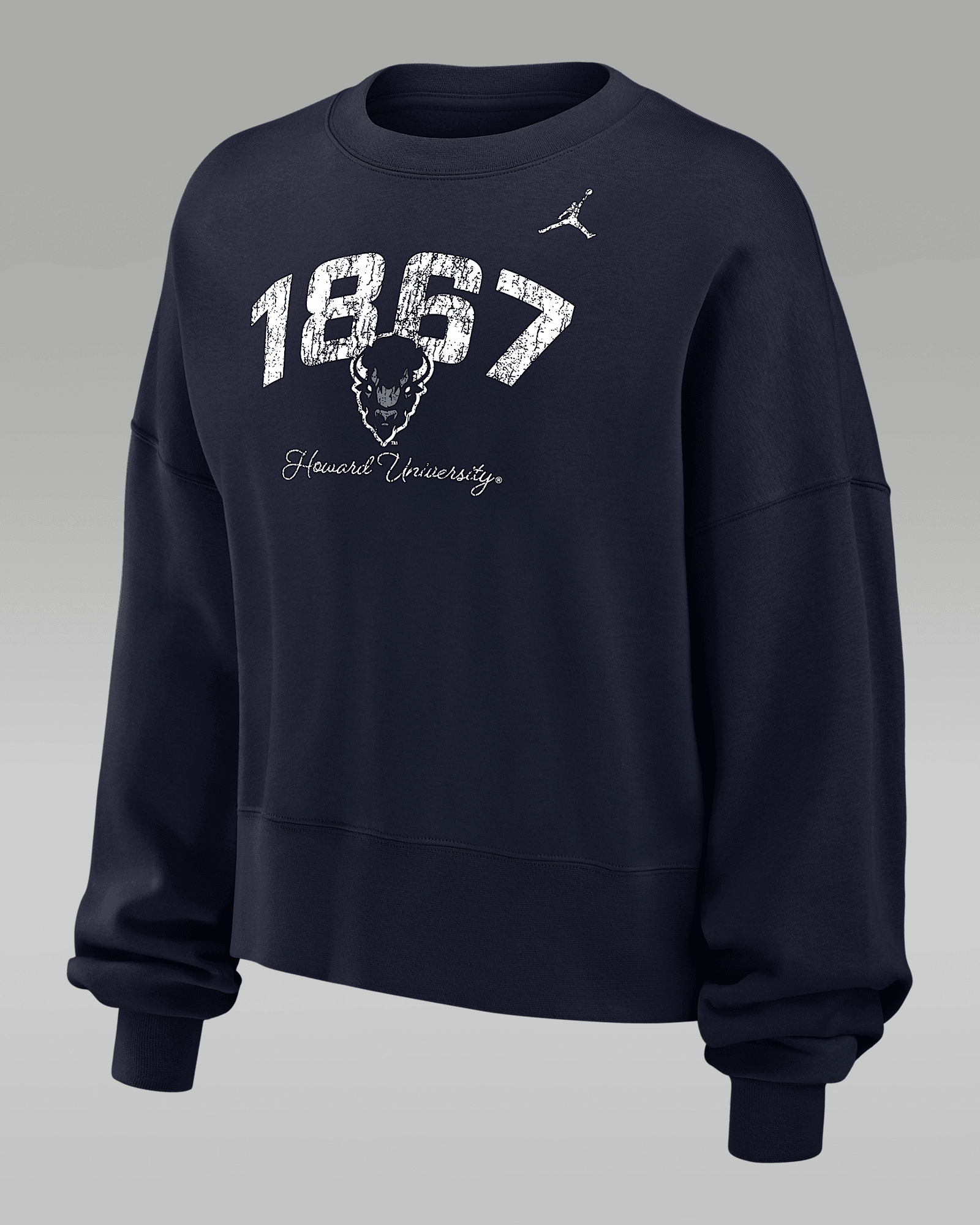 Jordan College (Howard University) in Navy, image 1 of 1 from Nike
