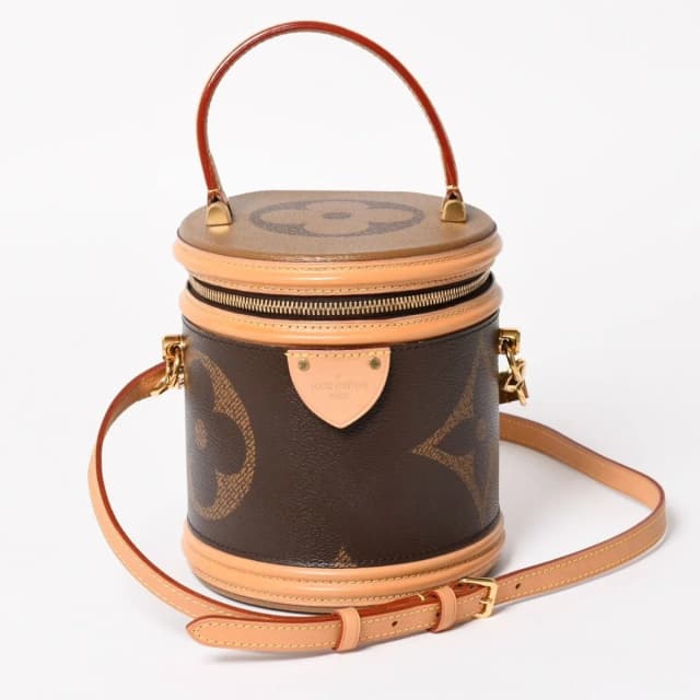 Louis Vuitton Cannes Vanity Monogram Giant Brown Reverse Shoulder Bag in Brown Leather from The Reluxe, photo 1 of 1