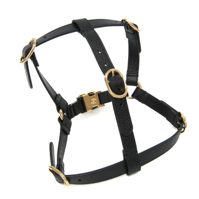 Gucci Interlocking G Pet Harness Size M 692963 Dog Harness Leather Black in Black Leather from Elady, photo 1 of 1