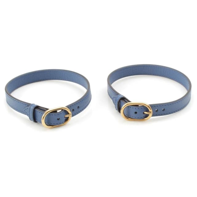 Gucci Leather Diana Handle Band Retainer Blue Shoulder Bag in Blue Leather from The Reluxe, photo 1 of 1