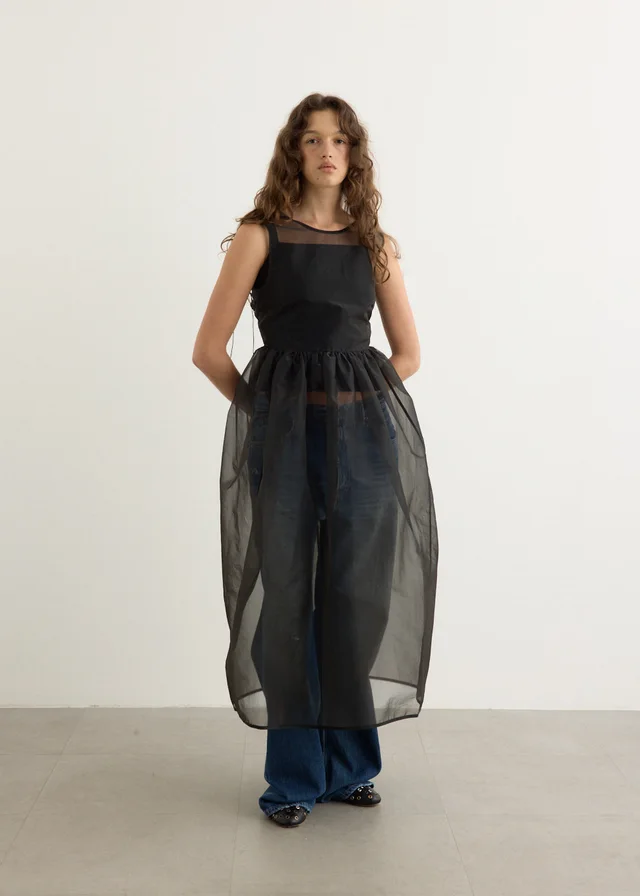Cecilie Bahnsen Camilla Sheer Liquid Myrtia Overlay Dress in BLACK, image 1 of 1 from Incu