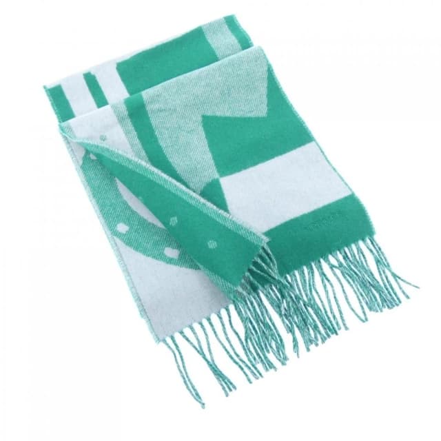 Hermès Scarf Scarves Green in Green Cashmere from The Reluxe, photo 1 of 1