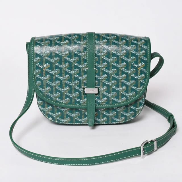 Goyard Cup Vert PM Shoulder Bag Green Silver in Green Canvas from The Reluxe, photo 1 of 1