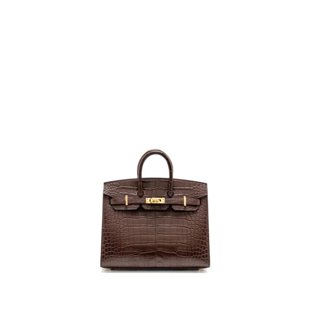 Hermès Birkin 20 Alligator Missippienssis Mat Havane GHW Stamp B in Crocodile from EMIER, photo 1 of 1