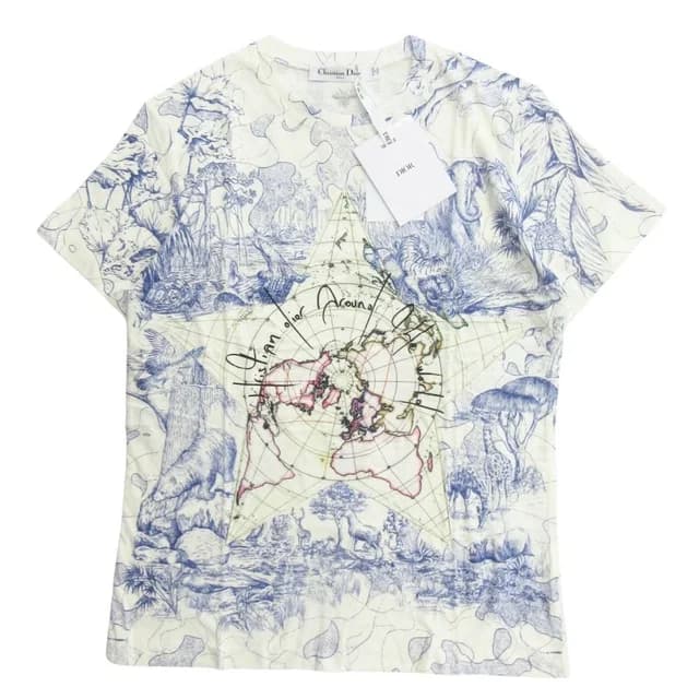 Dior Around the World T-Shirt Short Sleeve Top Bee Embroidery Logo Off White S in White from The Reluxe, photo 1 of 1