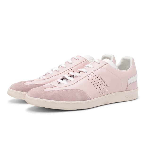 Dior Homme Pink Calfskin B01 Sneakers 42 in Pink Calfskin from Blue Spinach, photo 1 of 1