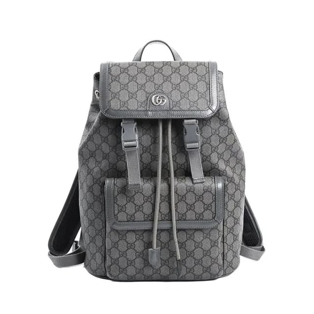 Gucci Backpack Gray in Grey from The Reluxe, photo 1 of 1