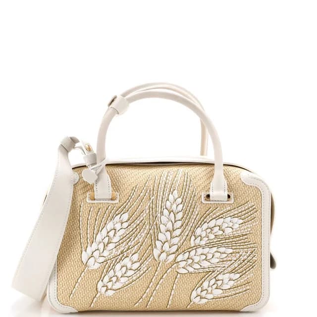 Delvaux Mm Cool Box Bag in Raffia from Poshmark, photo 1 of 1