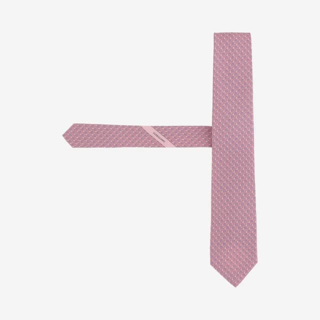 Ferragamo Silk Printed Necktie — Pink Neckties in Pink Silk from HEWI, photo 1 of 1