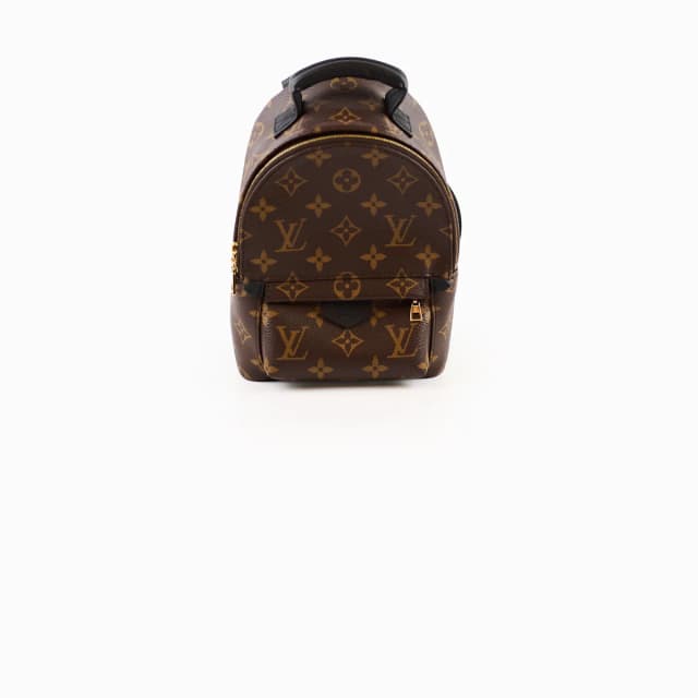 Louis Vuitton Palmspring Backpack Mini Monogram in Canvas from The Purse Affair, photo 1 of 1